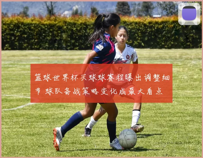 篮球世界杯买球球赛程曝出调整细节 球队备战策略变化成最大看点