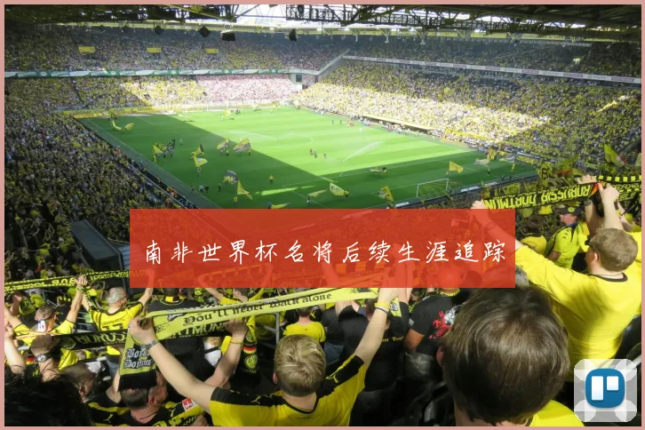 南非世界杯名将后续生涯追踪