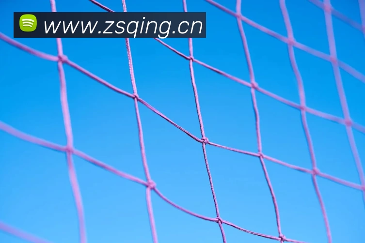 世界杯中国官网发展历程